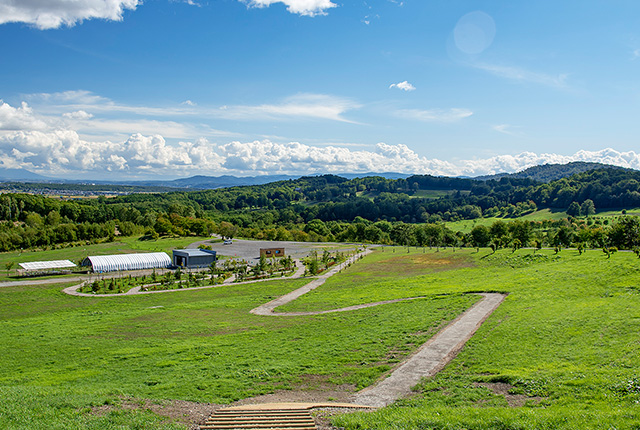 体験プログラムのイメージ02